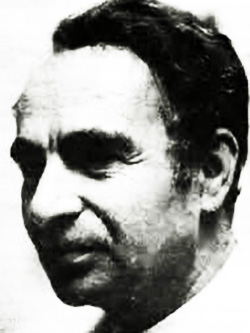 1934-2013 Critic Vasile Fanache
