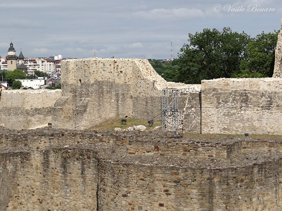 Cetatea Suceava CetateaSuceava - 2 Cetatea Suceava