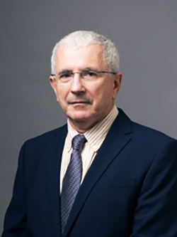 1953 Matematician Dan Timotin