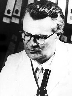 1910-2006 Arnold Graffi