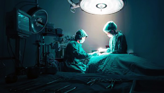 1996 Ziua Donatorului De Organe Îngeri