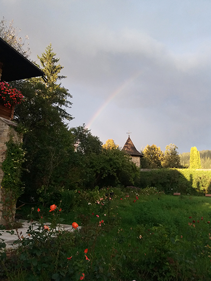 The Rainbow 18