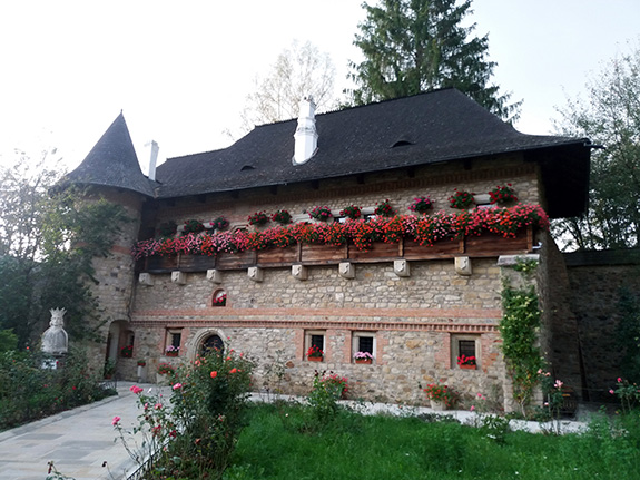 Petru Rareș 4
