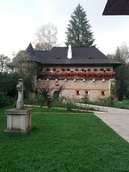 M. Moldovița 5