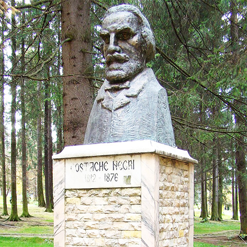 Bustul lui C. Negri, Vatra Dornei