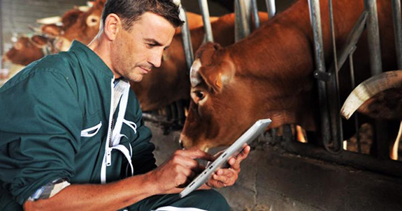 1861 Ziua Medicului Veterinar. Prima școală