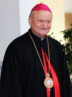 1931 Lucian Mureșan Cardinal