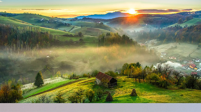 Menționare bucovină - cover26