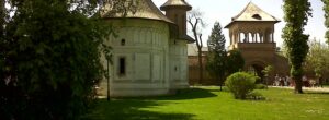 Mogosoaia - Mogosoaia-2-1440x530