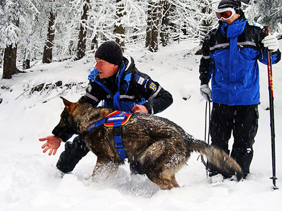 2001 Jandarmeria Montană